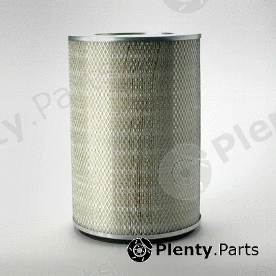 Donaldson-AU P182046 — Air Filter