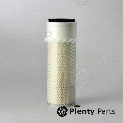 Donaldson-AU P182062 — Air Filter