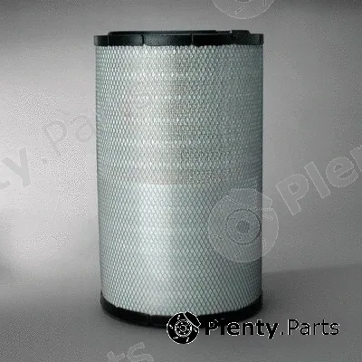 Donaldson-AU P777868 — Air Filter