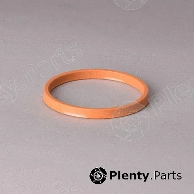 Donaldson-AU P567428 — Gasket Set, intake/exhaust manifold