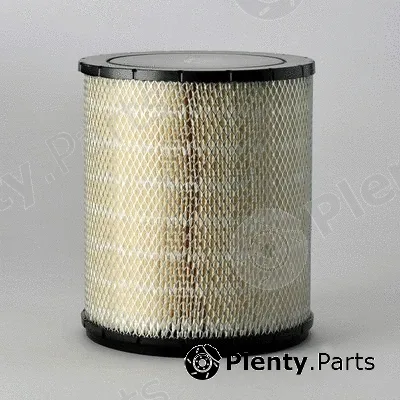 Donaldson-AU P181106 — Air Filter