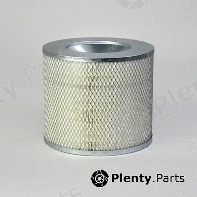 Donaldson-AU P182033 — Air Filter