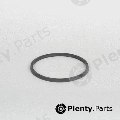 Donaldson-AU P120598 — Gasket Set, intake/exhaust manifold