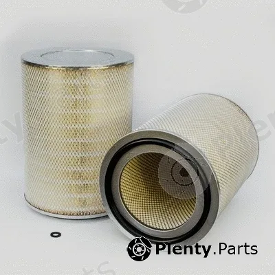 Donaldson-AU P772523 — Air Filter