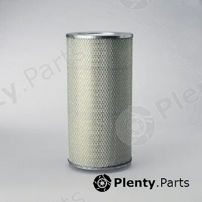 Donaldson-AU P182070 — Air Filter