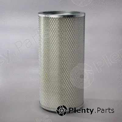 Donaldson-AU P119370 — Secondary Air Filter