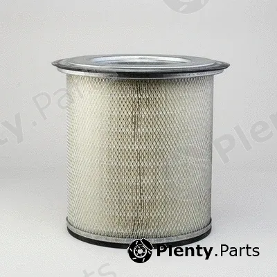 Donaldson-AU P181115 — Air Filter