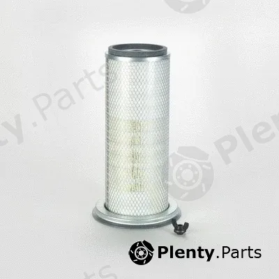 Donaldson-AU P772556 — Air Filter