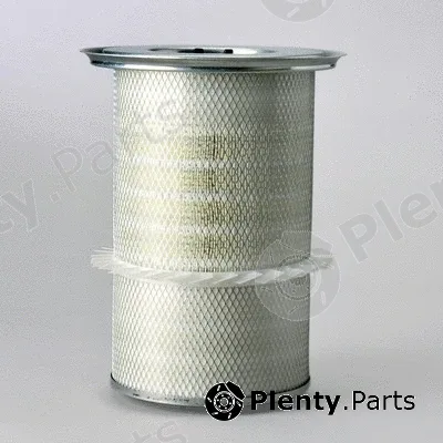 Donaldson-AU P772531 — Air Filter