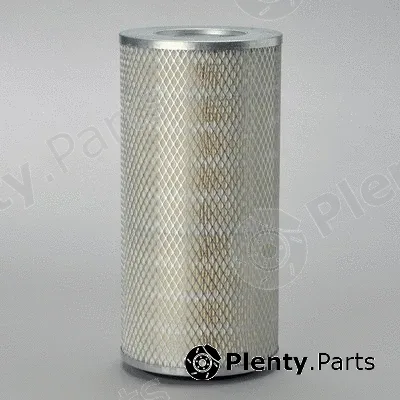 Donaldson-AU P133765 — Air Filter