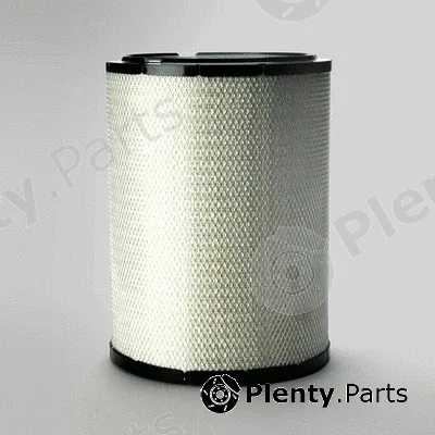 Donaldson-AU P781398 — Air Filter
