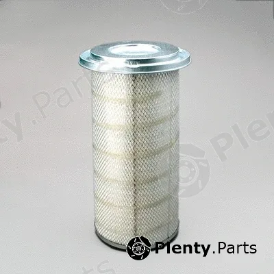 Donaldson-AU P153551 — Air Filter