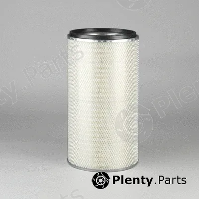 Donaldson-AU P131280 — Air Filter