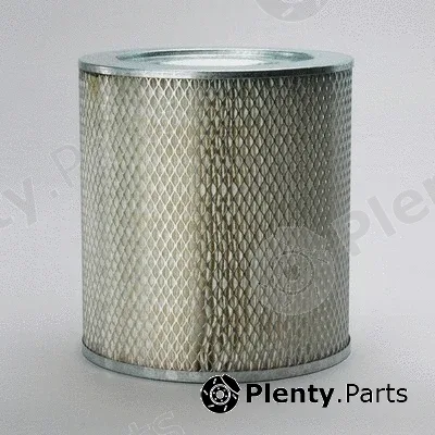 Donaldson-AU P015837 — Air Filter