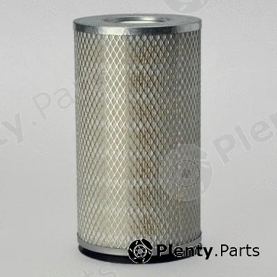 Donaldson-AU P181119 — Air Filter