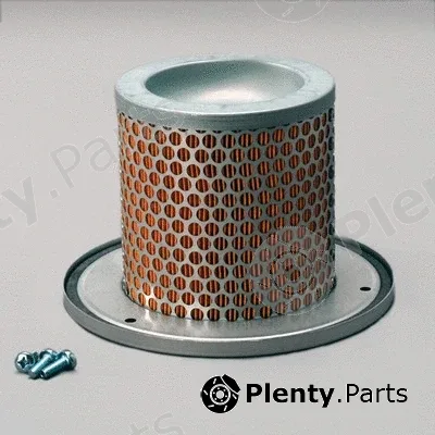 Donaldson-AU P783501 — Secondary Air Filter