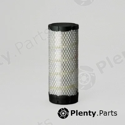 Donaldson-AU P616641 — Air Filter