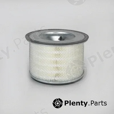 Donaldson-AU P181113 — Air Filter