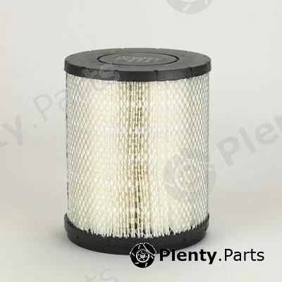 Donaldson-AU P181105 — Air Filter