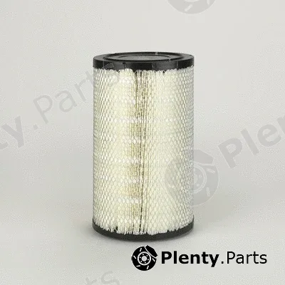 Donaldson-AU P777578 — Air Filter