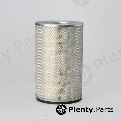 Donaldson-AU P181139 — Air Filter