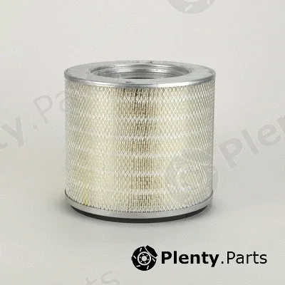 Donaldson-AU P119417 — Air Filter