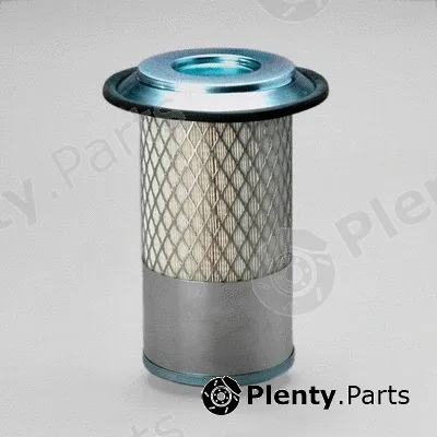 Donaldson-AU P546641 — Air Filter
