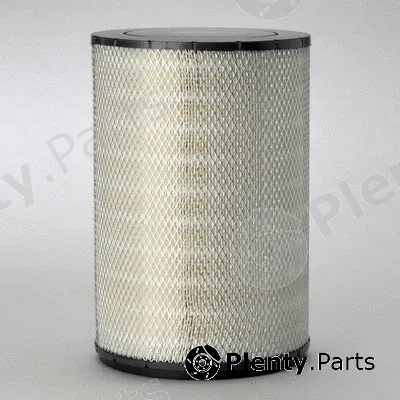 Donaldson-AU P181102 — Air Filter