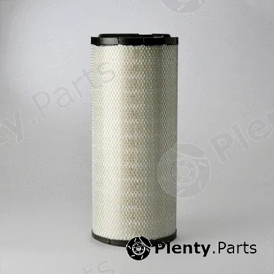Donaldson-AU P538392 — Air Filter