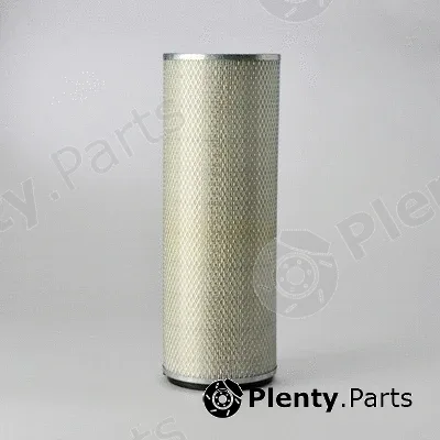 Donaldson-AU P124862 — Secondary Air Filter
