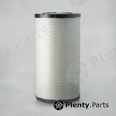 Donaldson-AU P782106 — Air Filter