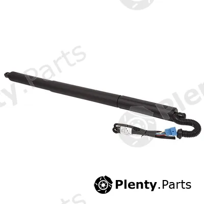 Bapmic BF0113480020 — Gas Spring, boot/cargo area