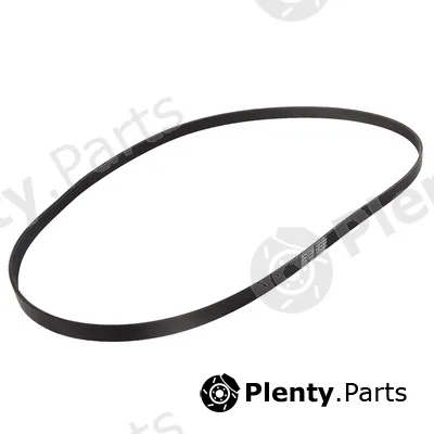 Bapmic BF0427580157 — V-Ribbed Belt