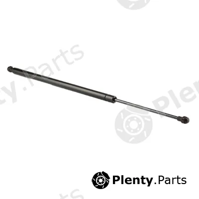 Bapmic ATPP1211140022 — Gas Spring, boot/cargo area