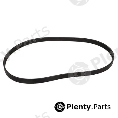 Bapmic BF0427580011 — V-Ribbed Belt