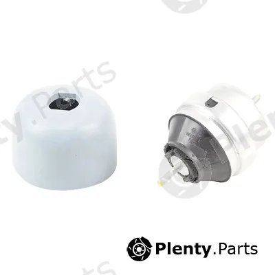 Bapmic BACB13-205011 — Mounting, engine