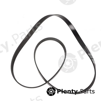 Bapmic BF0427580004 — V-Ribbed Belt