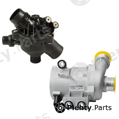 Bapmic TOPT12KIT020 — Repair Kit, water pump