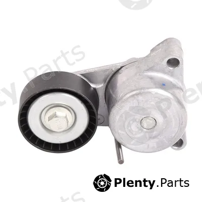 Bapmic BACB11-234039 — Tensioner Lever, V-ribbed belt