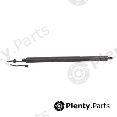 Bapmic BF0113480025 — Gas Spring, boot/cargo area