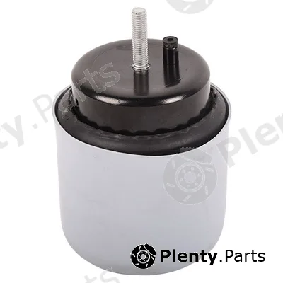 Bapmic BF0428140455 — Mounting, engine