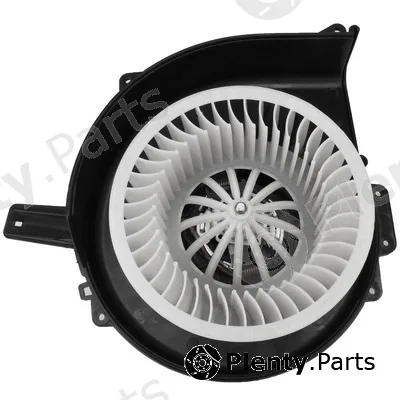 Bapmic TOPT1351021 — Interior Blower