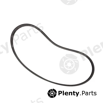 Bapmic BF0427580003 — V-Ribbed Belt