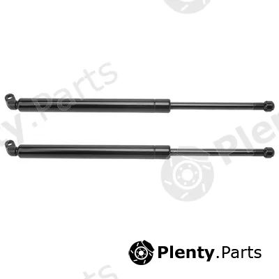 Bapmic ATPP12KIT139 — Gas Spring, boot/cargo area