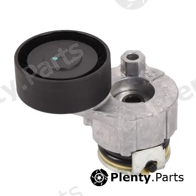 Bapmic BF0422580024 — Tensioner Lever, V-ribbed belt