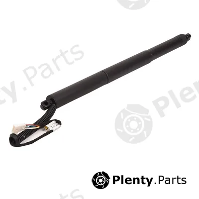 Bapmic BF0113480016 — Gas Spring, boot/cargo area