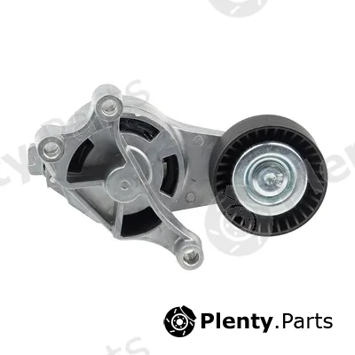 Bapmic BACB13-234042 — Tensioner Lever, V-ribbed belt