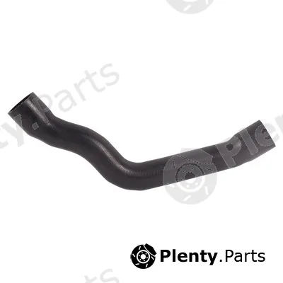 Bapmic TOPT1113035 — Radiator Hose