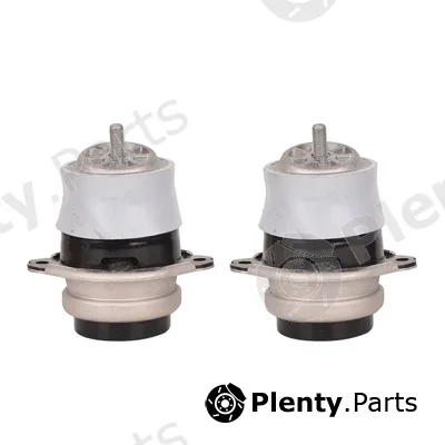 Bapmic BACB13-KIT061 — Mounting, engine