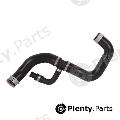 Bapmic BF0426660273 — Radiator Hose
